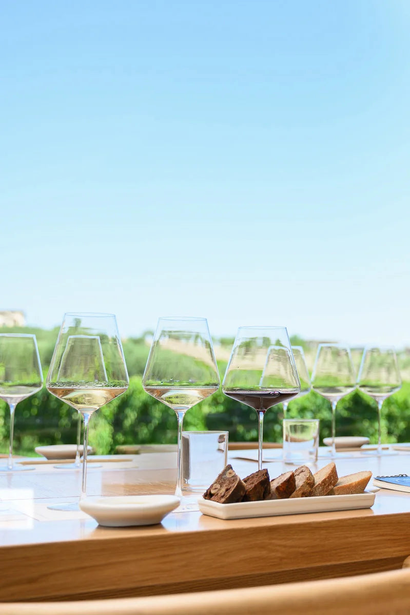 Wine Paring